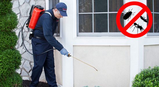 Gündoğmuş Fare İlaçlama böcek ilaçlama ve haşere kontrolü — ilaclama-tr.com